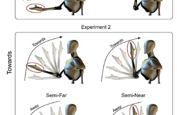 Réflexe de protection et ajustement prédictif