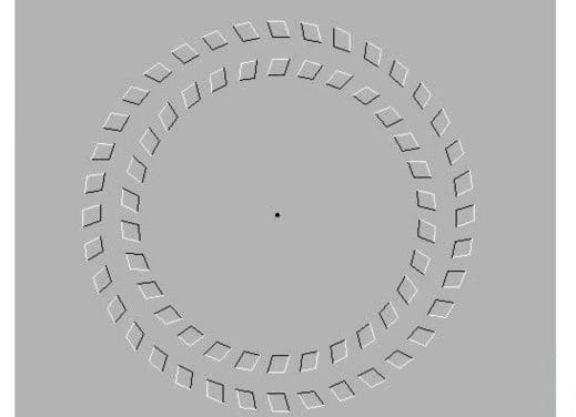 Expliquer la douleur (6)