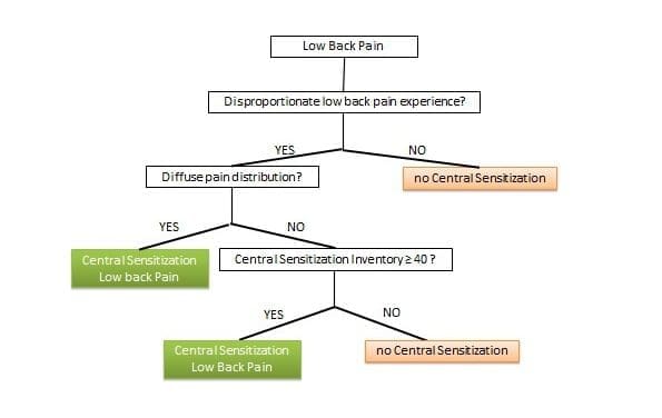 Sensibilisation centrale à l&rsquo;origine de la douleur: une classification