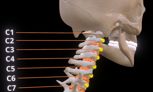 BMC : Revue systématique – l’effet du renforcement des fléchisseurs cervicaux profonds et les cervicalgies chroniques.