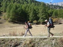 Activité physique dans la BPCO, la marche nordique: un essai contrôlé randomisé.