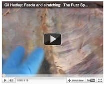 Les fascias décortiqués