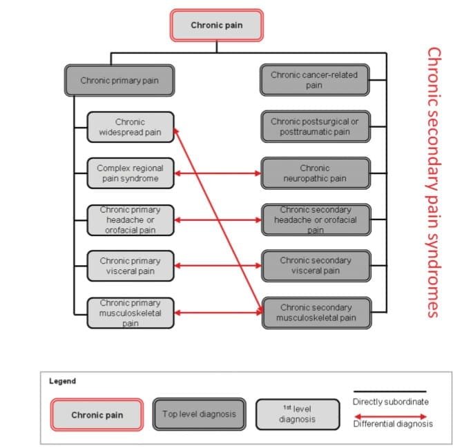 Douleur chronique en 2019 : du changement dans les classifications