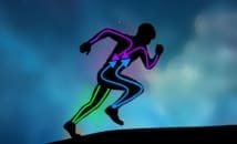 Les pathologies des membres inférieurs, une histoire d