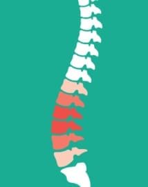 Journée mondiale de kinésithérapie : la douleur chronique