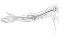 Où en sommes nous des preuves d