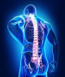 23 ème ressource en ligne : La pelvispondylite Rhumatismale/spondylarthrite ankylosante