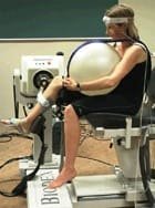 Quel mouvement produit la plus grande excursion du nerf sciatique?