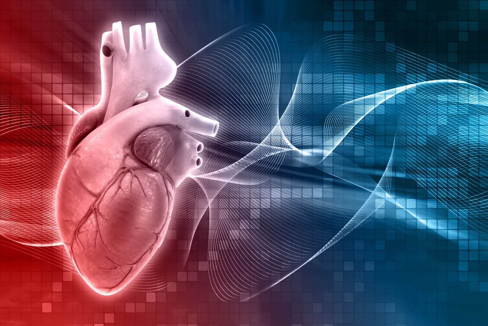 Insuffisance cardiaque