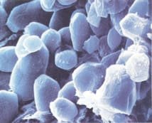 Référentiel dans le traitement des VPPB