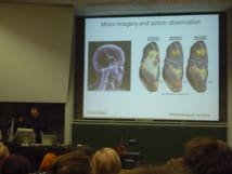 Congrès Observation et Imagerie Motrice 2014 (2)