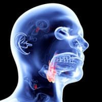 La toux chez le patient neuromusculaire