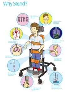 Recommandations pour la verticalisation après lésion médullaire