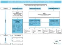 Neurorehab 2015 (7) : programme CARAS pour la rééducation du membre supérieur après A.V.C.