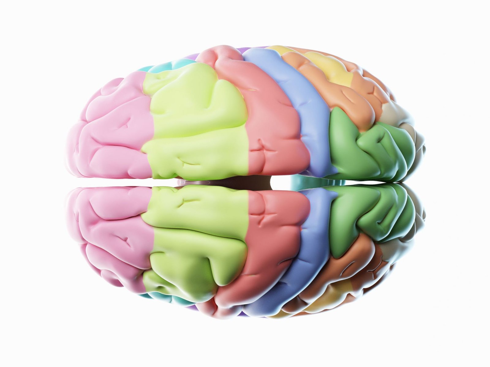 Neurologie les bases