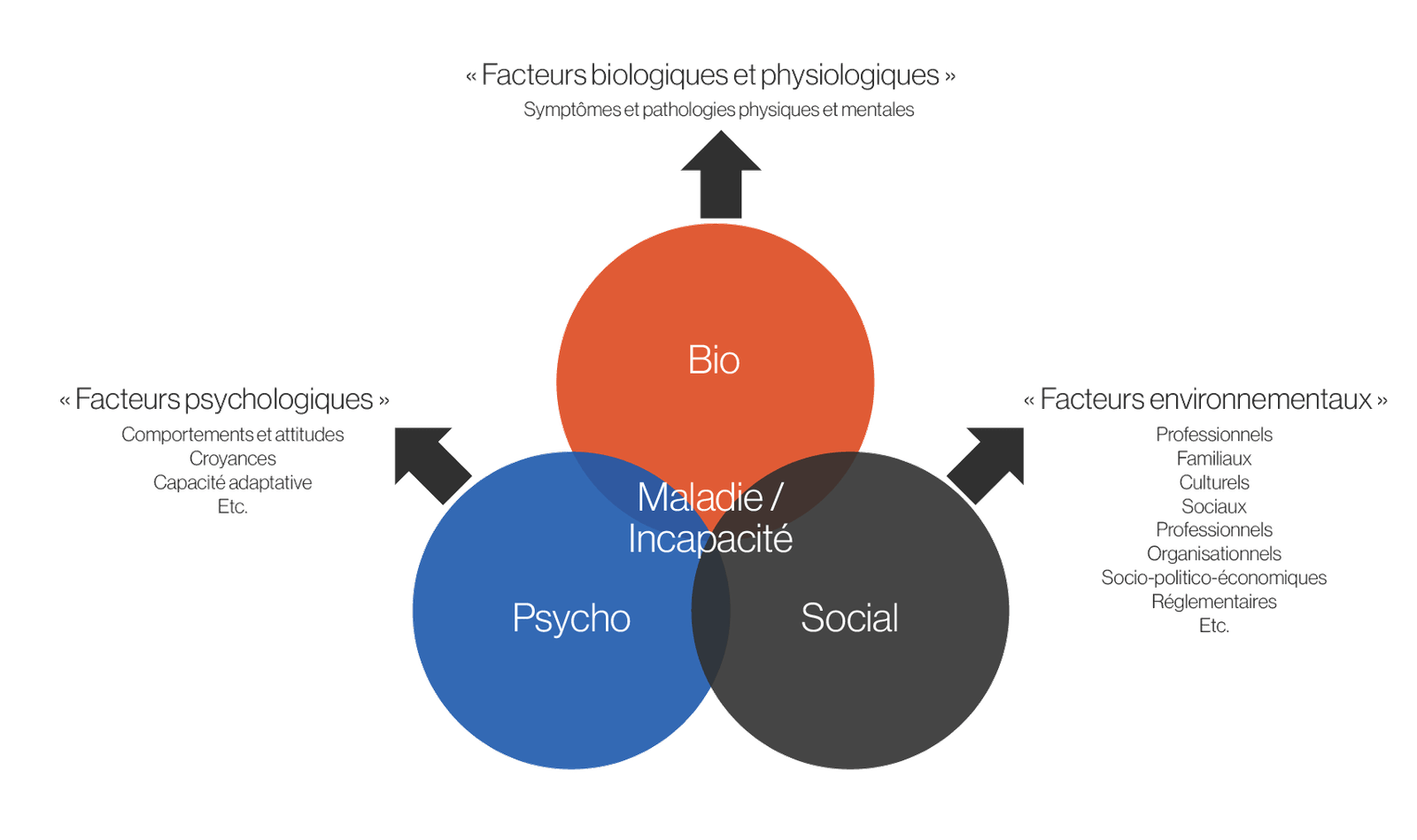 Annexe 4.A – Modèle biopsychosocial – L'incapacité et le retour au travail